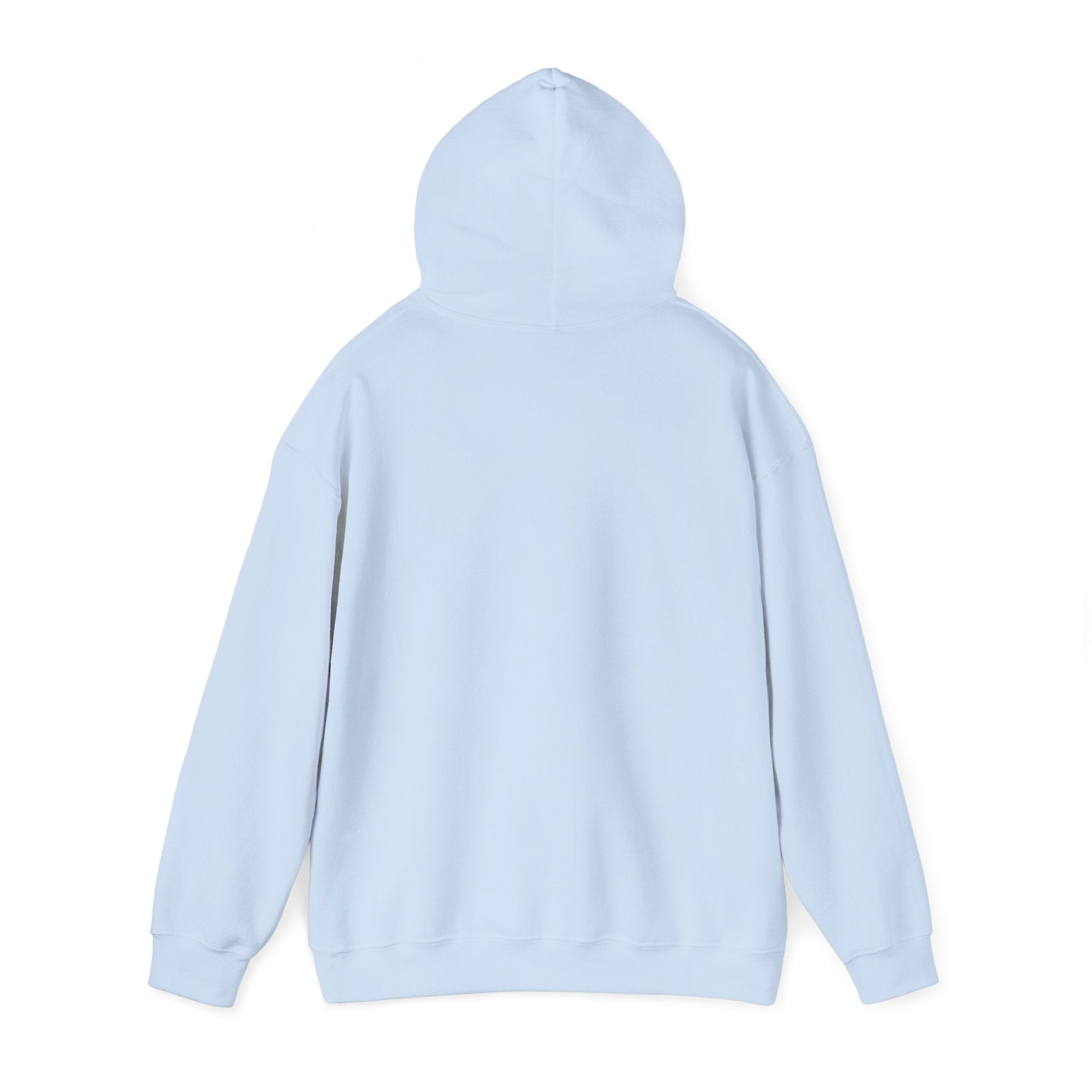 Protector Provider Prayer Hoodie - Christian Fathers Day Gift