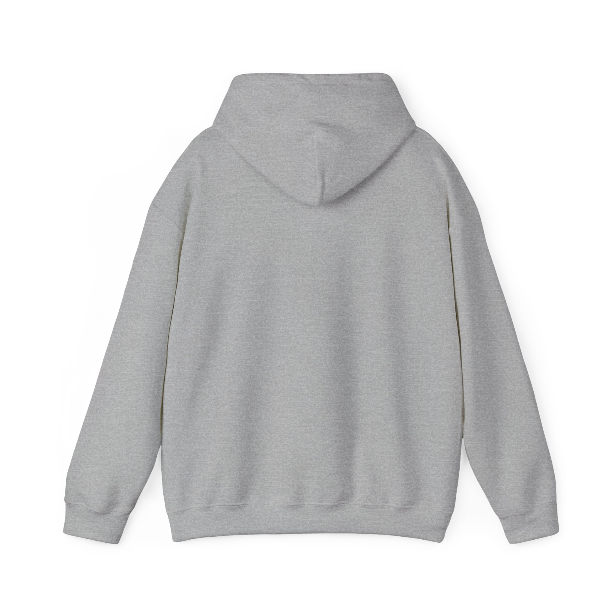 Protector Provider Prayer Hoodie - Christian Fathers Day Gift