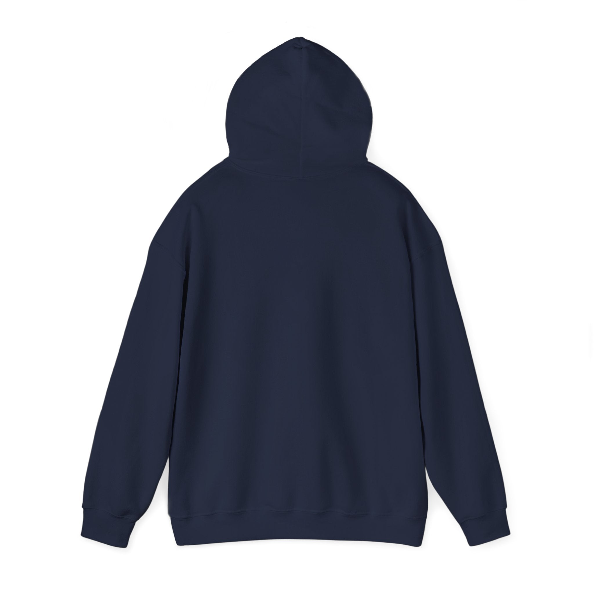 Protector Provider Prayer Hoodie - Christian Fathers Day Gift