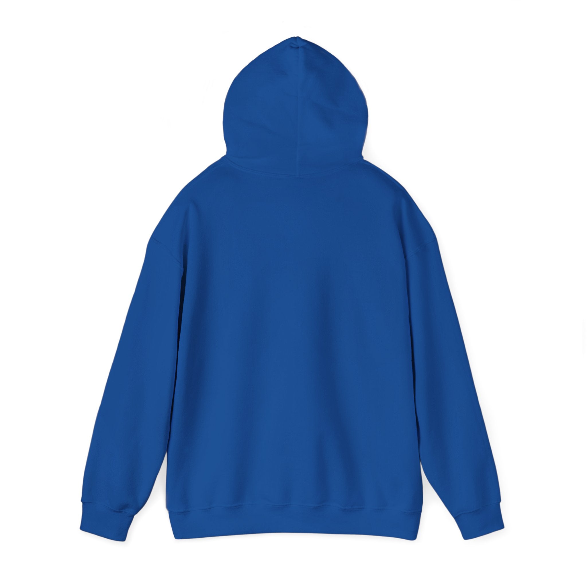 Protector Provider Prayer Hoodie - Christian Fathers Day Gift